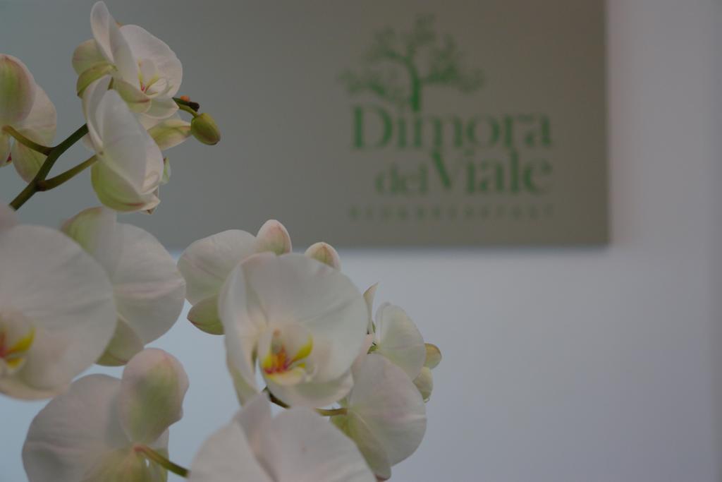 Dimora Del Viale Bed and Breakfast Agrigento Eksteriør billede